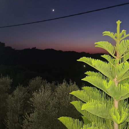 Raches  Spitikariotiko Ikarian Cottage מראה חיצוני תמונה